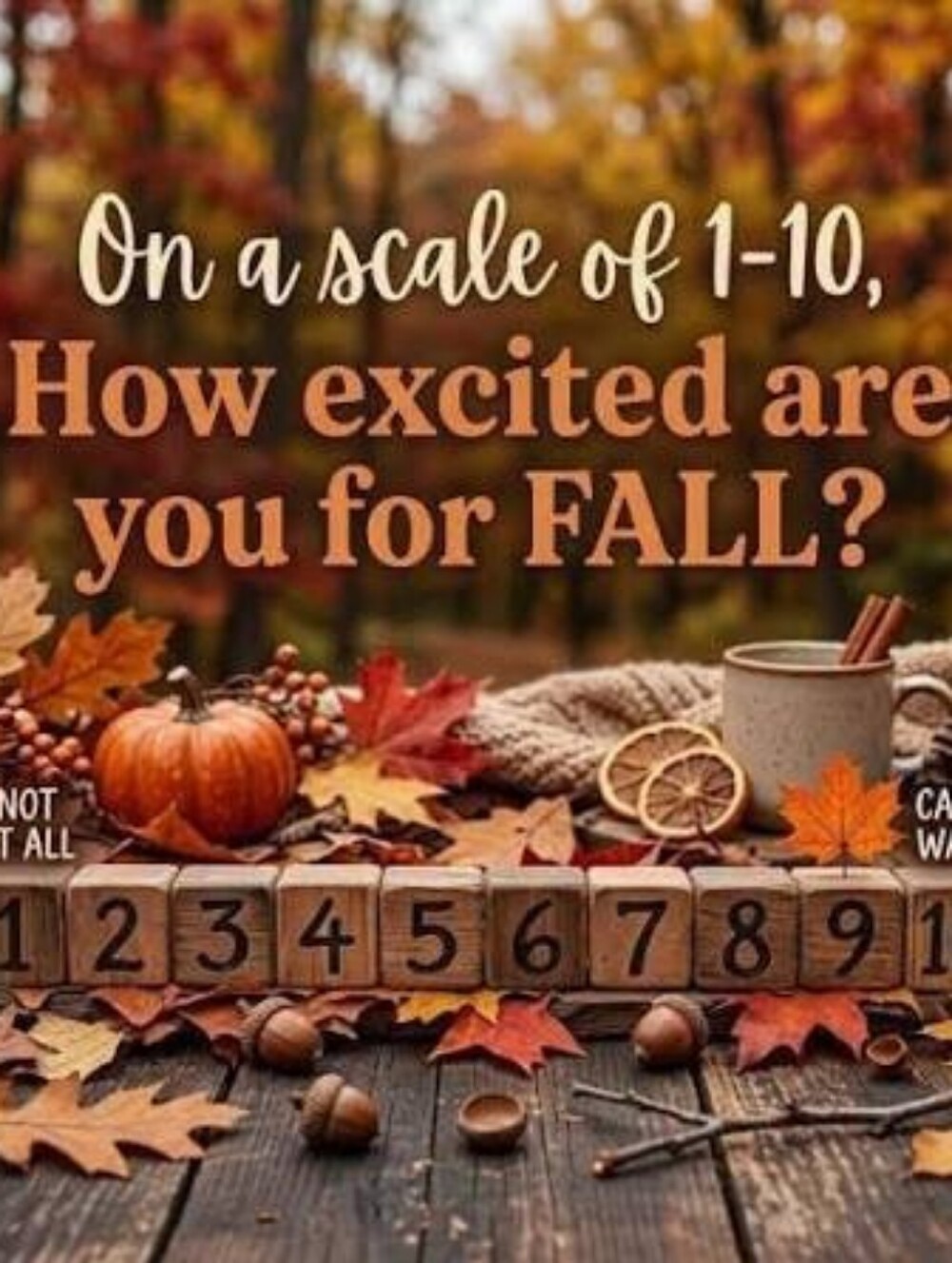 🍁🍃🍂Fall Is Coming🍂🍃🍁